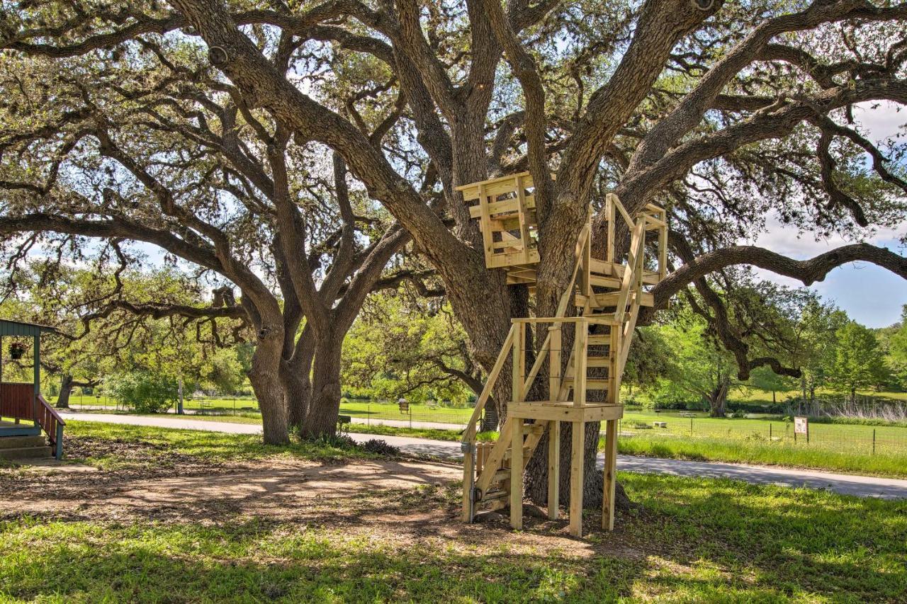 Betty Bs River House Less Than 1 Mi To Blanco State Park! المظهر الخارجي الصورة